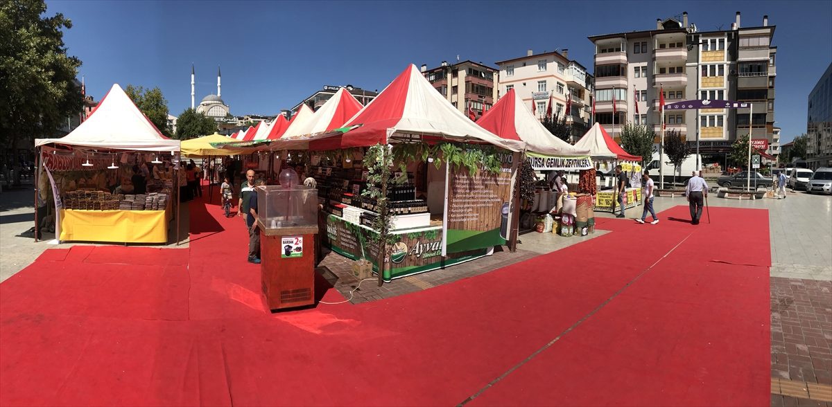 Safranbolu\'da yöresel ürünler fuarı açıldı