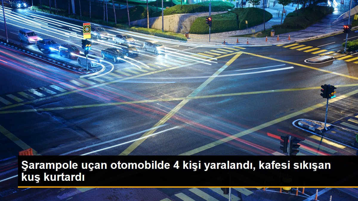 Şarampole uçan otomobilde 4 kişi yaralandı, kafesi sıkışan kuş kurtardı