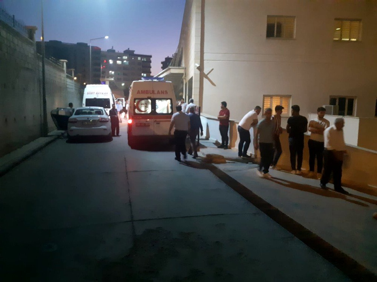 Siirt\'te yılanın ısırdığı kadın hayatını kaybetti