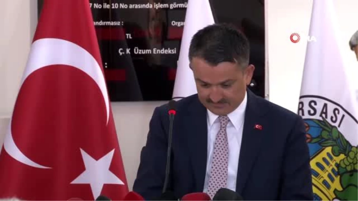 Tarım ve Orman Bakanı Pakdemirli: "2019 yılı kuru üzüm fiyatı 9 numara için 10 lira"