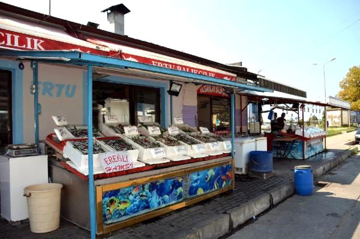 Zonguldak\'ta hamsinin kilosu 20 liraya düştü