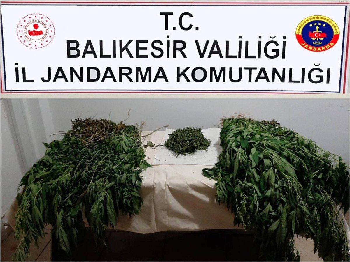 Balıkesir\'de jandarmadan uyuşturucu operasyonu