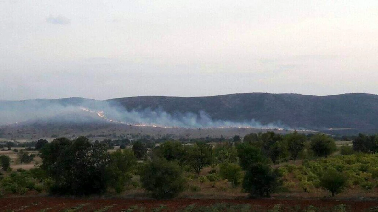 Denizli\'de anız yangınında 60 hektar alan zarar gördü