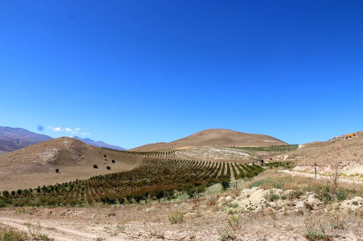 Erzincan\'da tarımsal üretim yapan tesisler ziyaret edildi