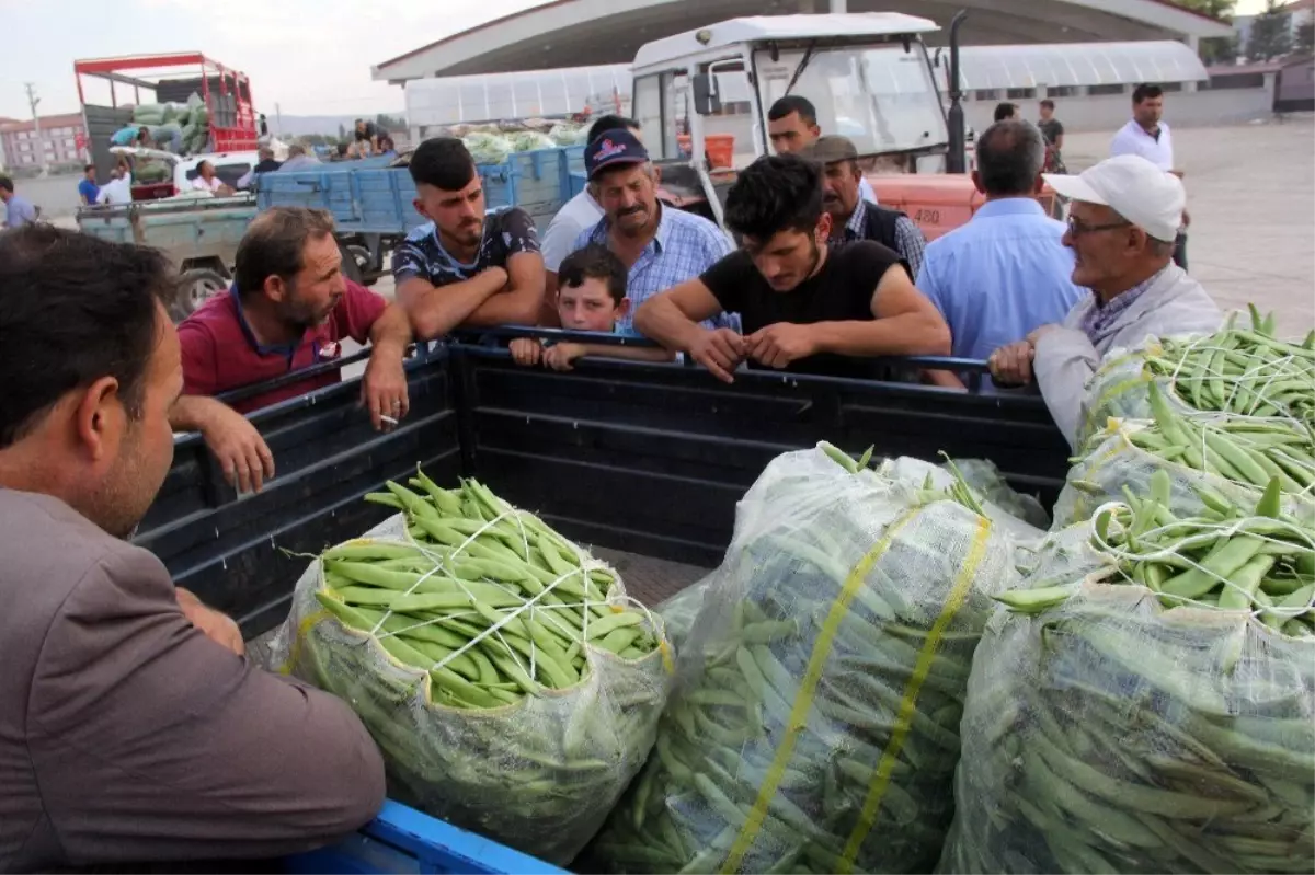 Fasulye piyasası altın çağını yaşıyor