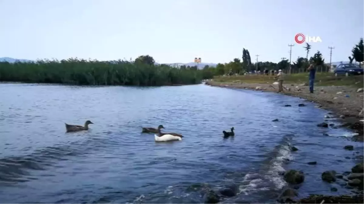 Geceleri kirli su gelen dere gündüz temiz akıyor