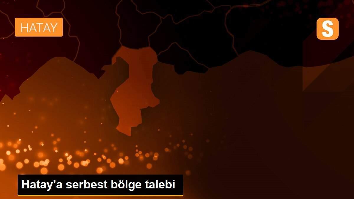 Hatay\'a serbest bölge talebi