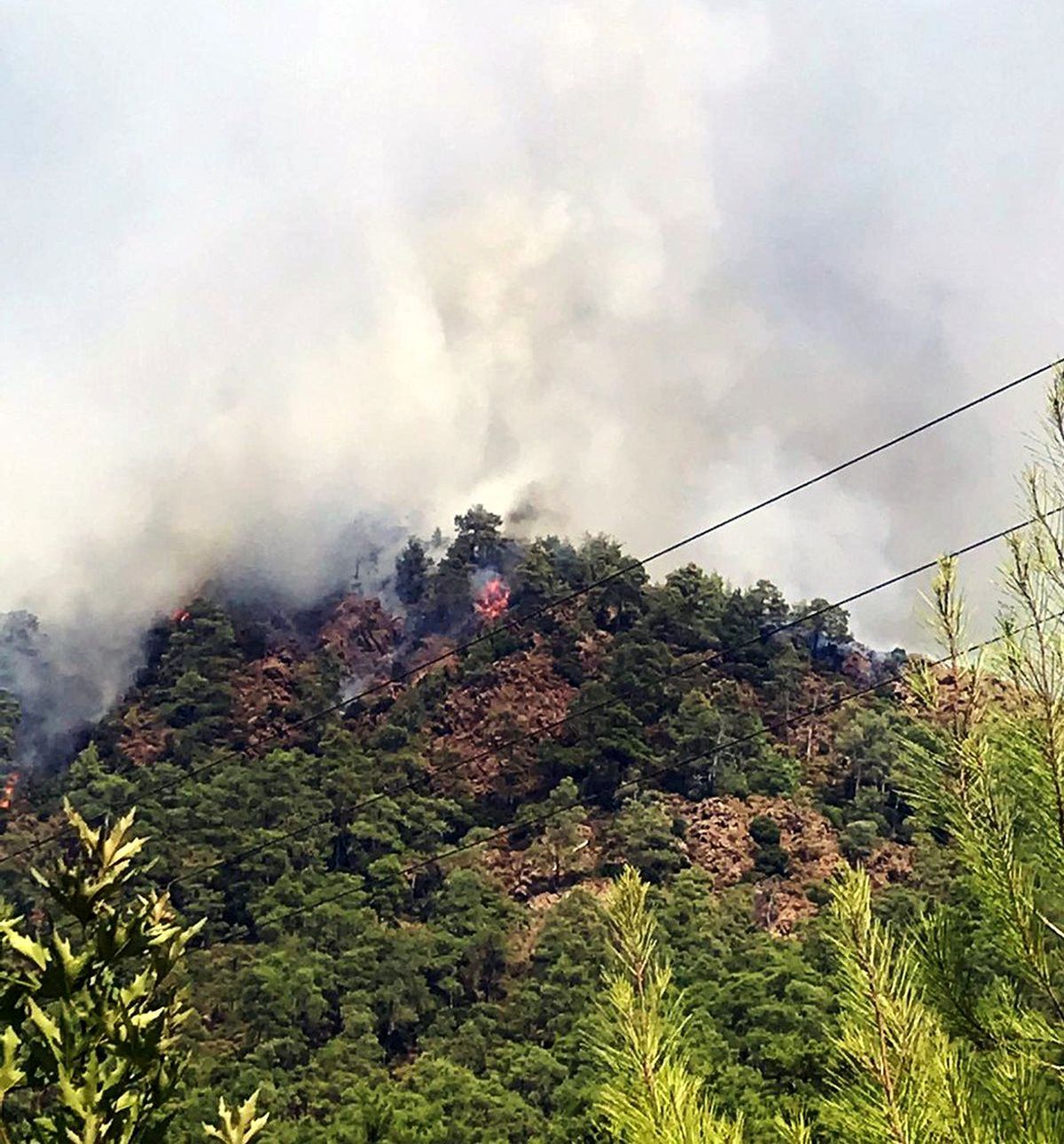 Marmaris orman yangınına müdahale sürüyor
