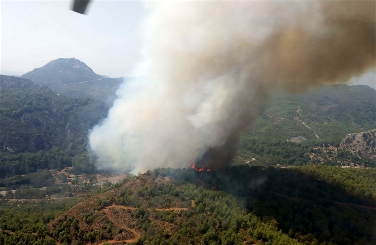 Muğla\'da orman yangını