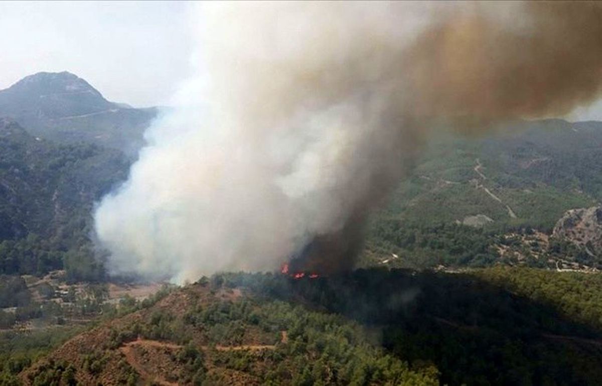 Muğla\'da orman yangını