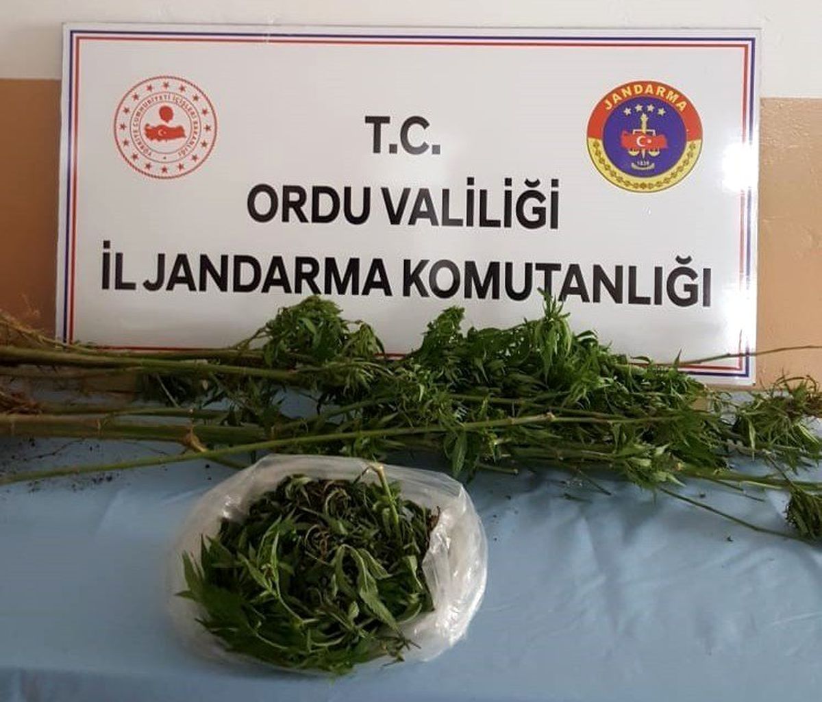 Ordu\'da uyuşturucuya geçit yok