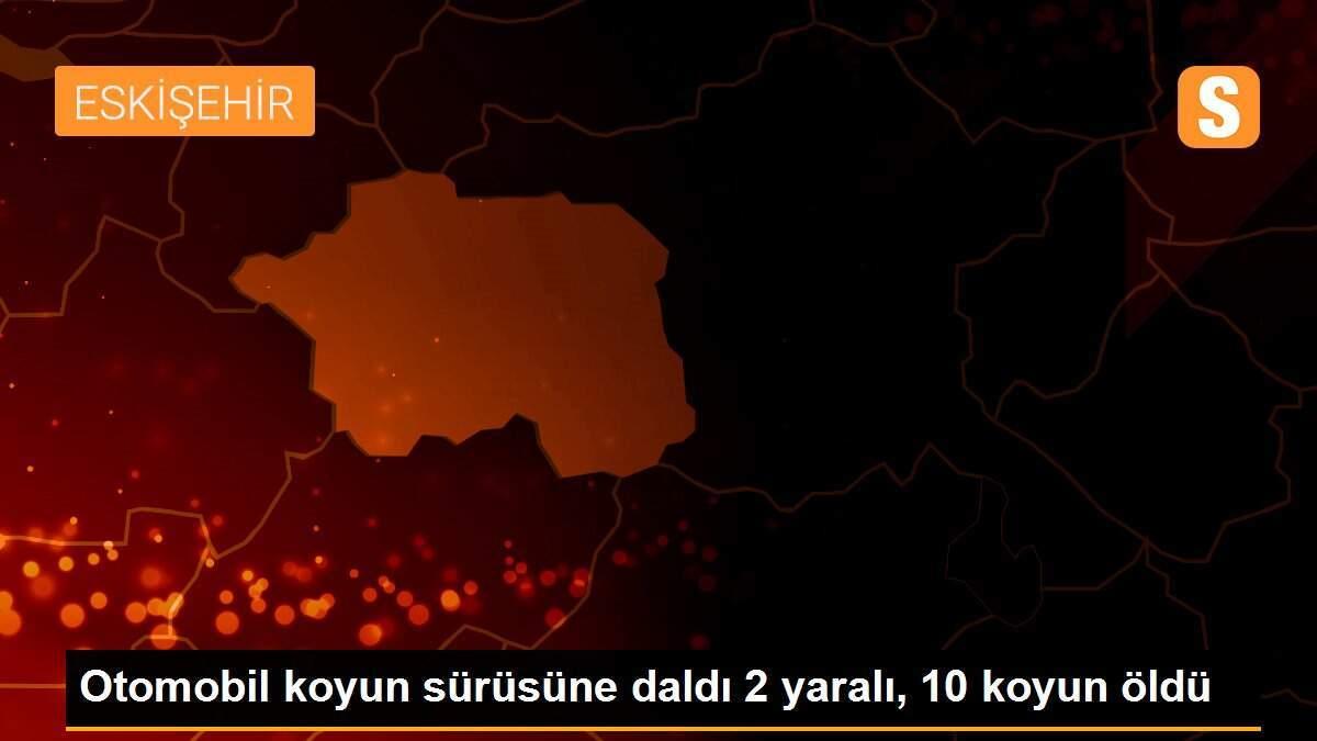Otomobil koyun sürüsüne daldı 2 yaralı, 10 koyun öldü