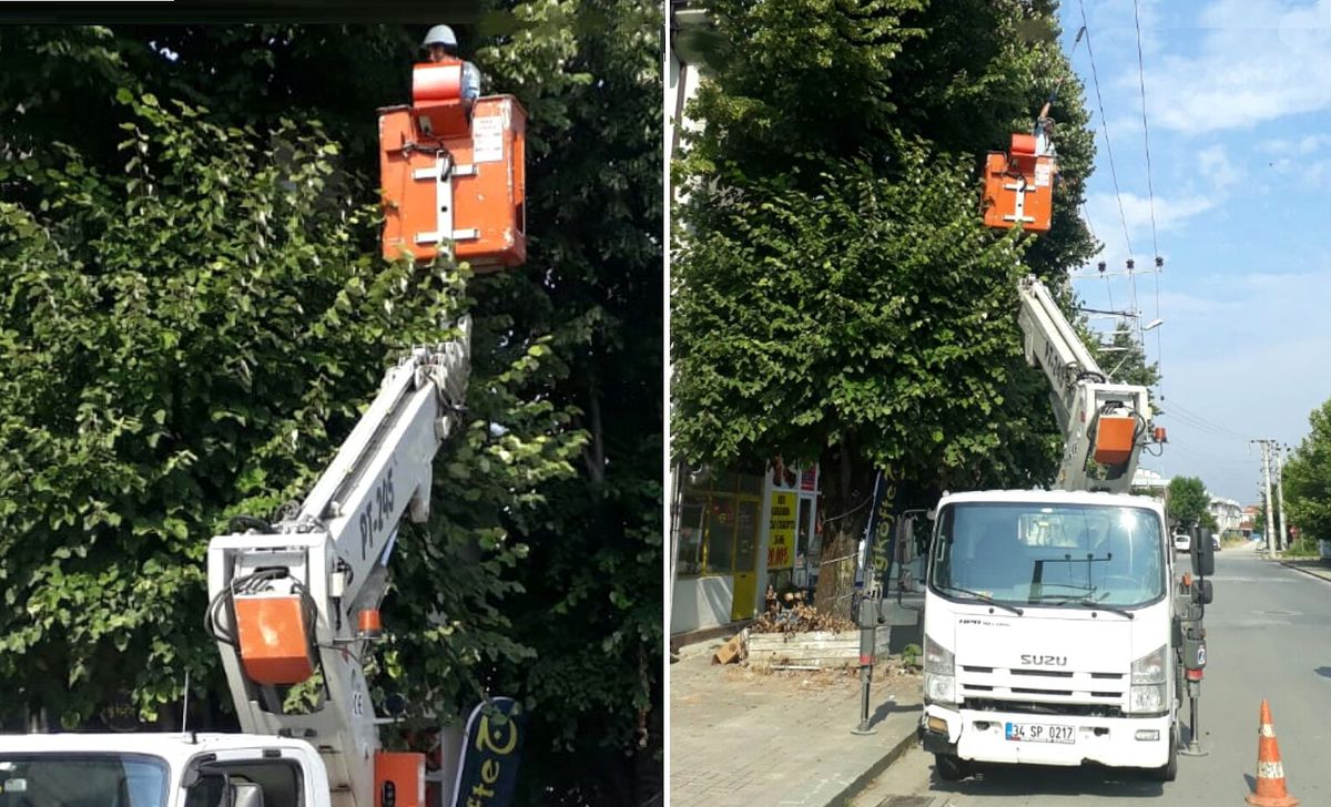 SEDAŞ kaliteli enerji için ağaç budama çalışmalarına ağırlık veriyor
