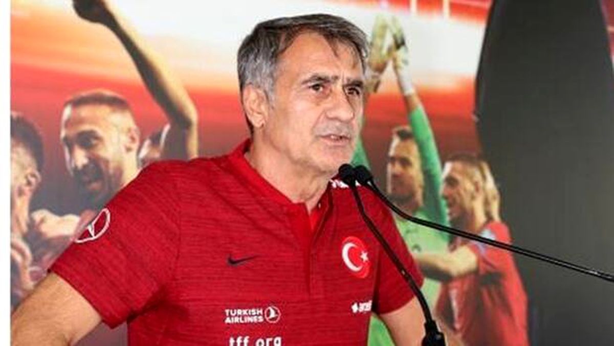Şenol Güneş: "Fransa maçıyla final yapmak istiyoruz"