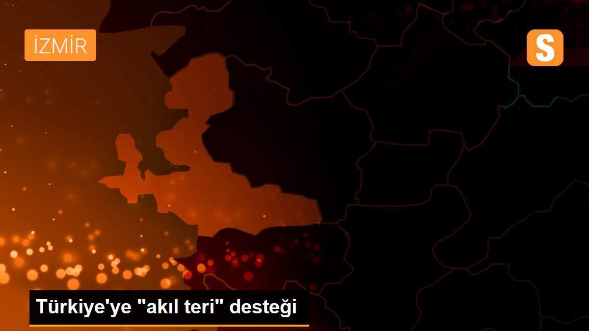 Türkiye\'ye "akıl teri" desteği