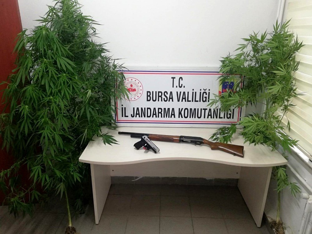 Uyuşturucu tacirlerine geçit yok
