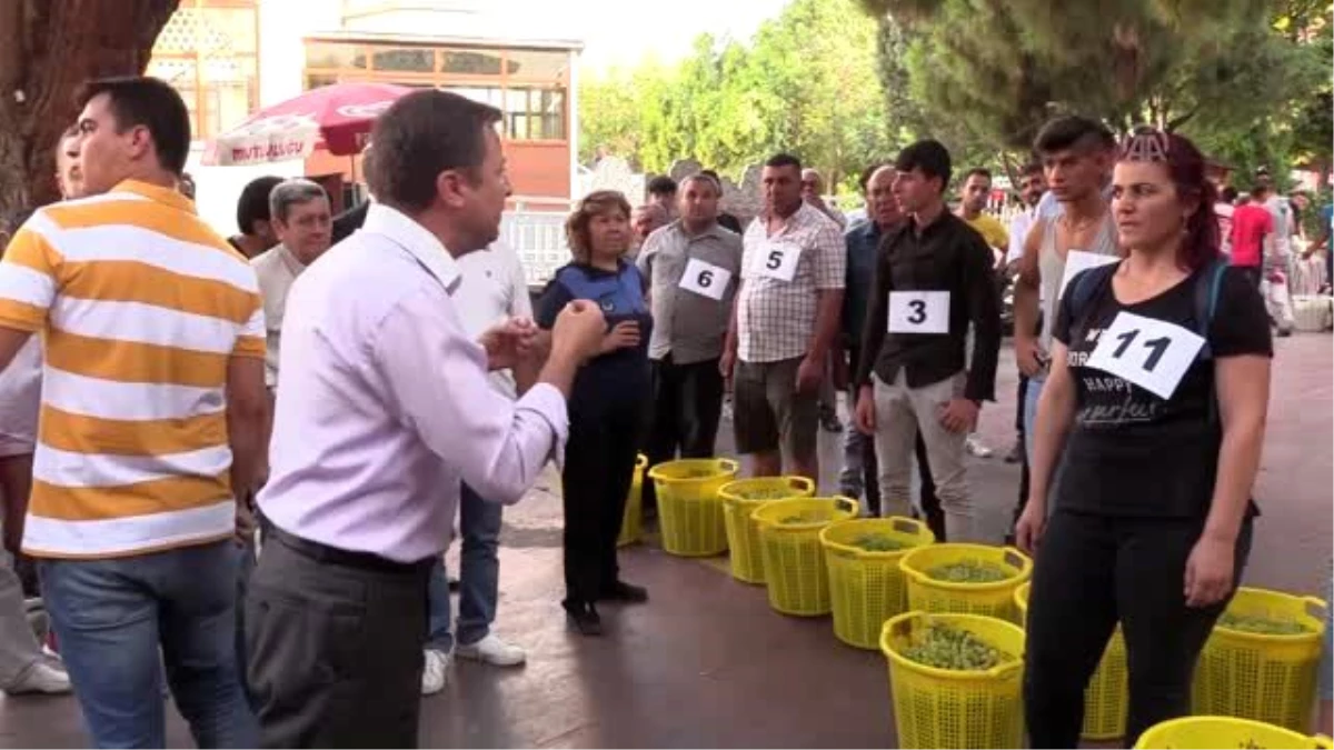 Üzüm dolu sepetleri sırtlanıp birinci olmak için yarıştılar