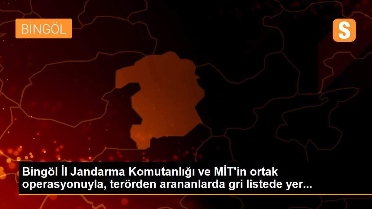 Bingöl İl Jandarma Komutanlığı ve MİT\'in ortak operasyonuyla, terörden arananlarda gri listede yer...