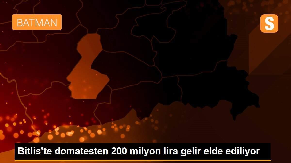 Bitlis\'te domatesten 200 milyon lira gelir elde ediliyor