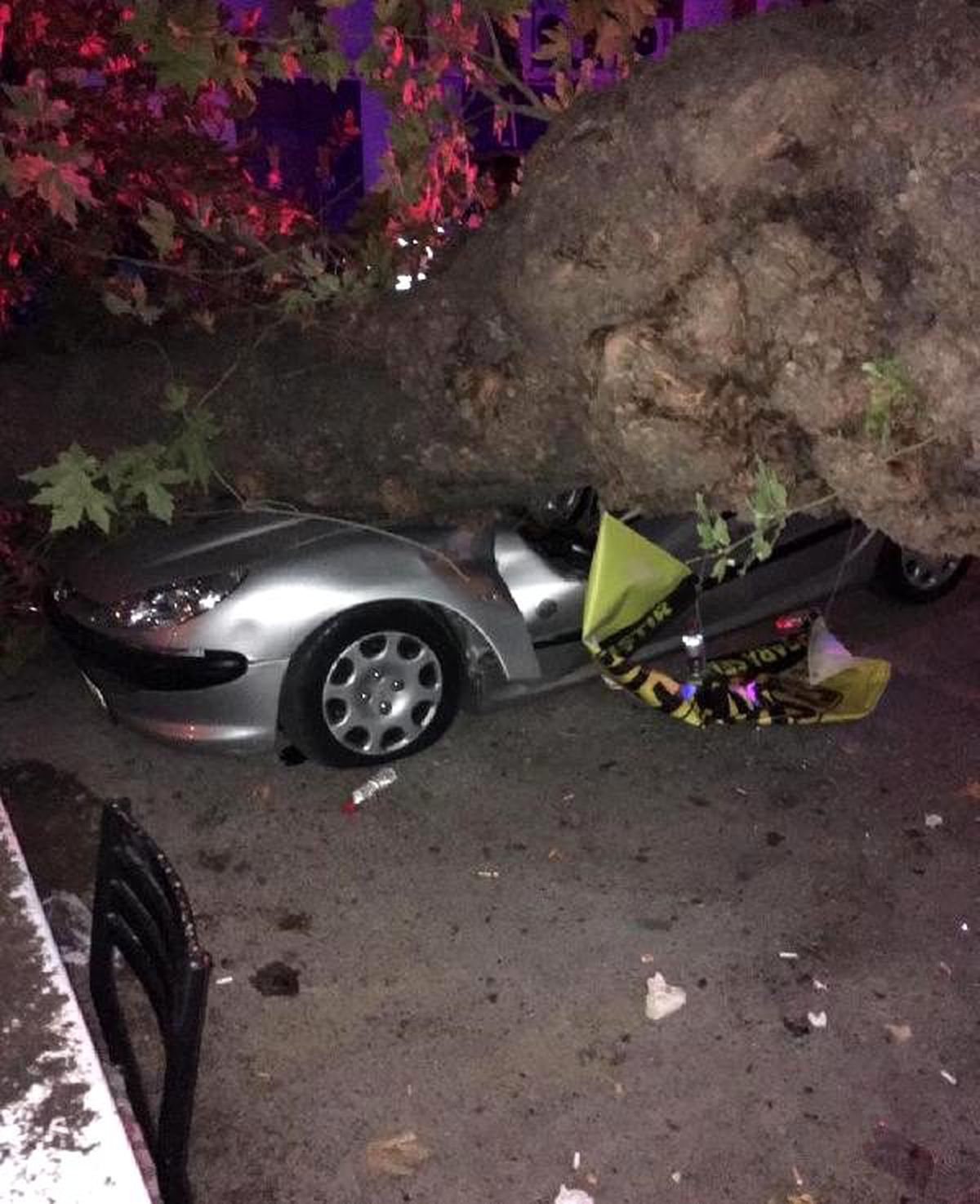 Devrilen ağaç 3 otomobile zarar verdi