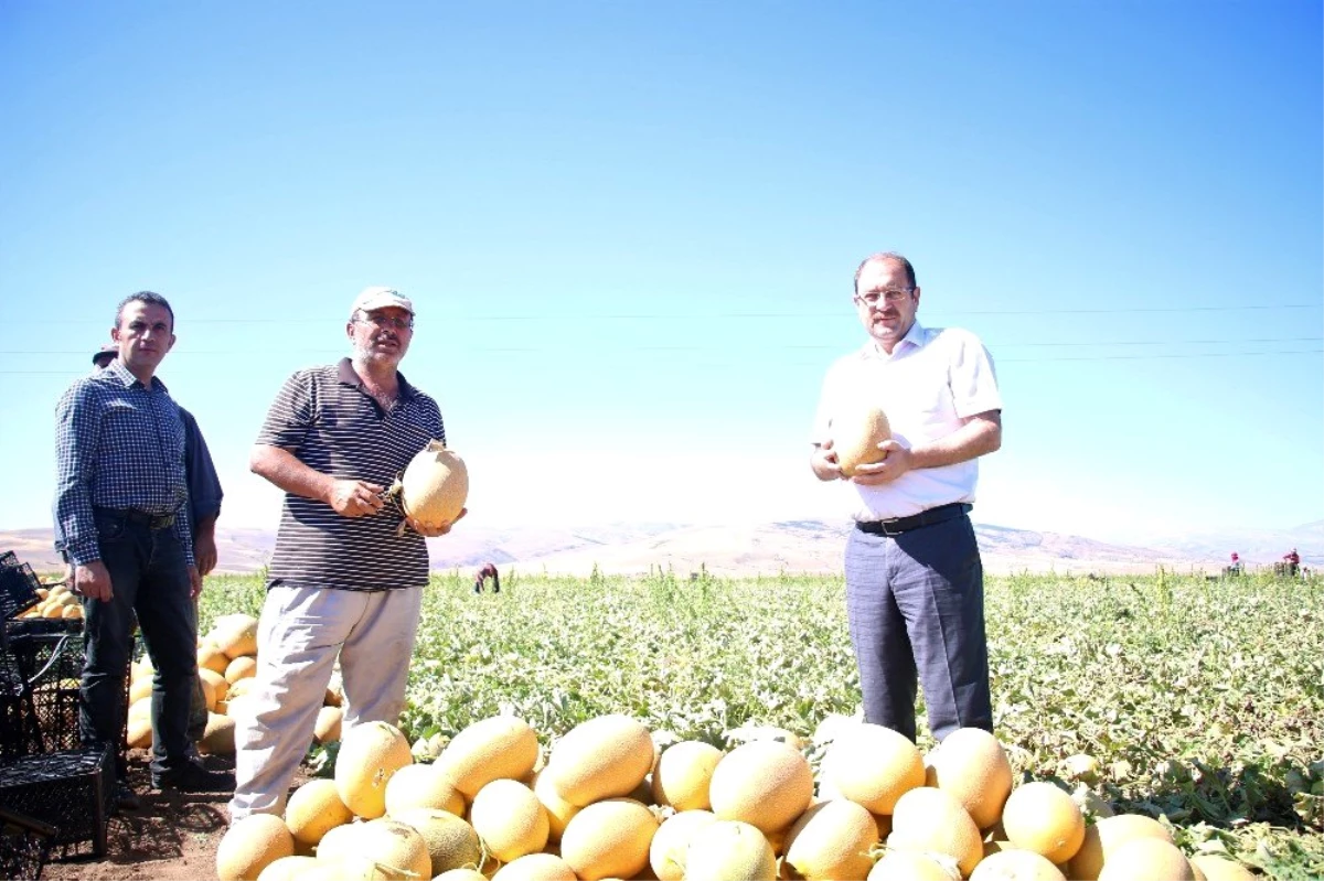 Erzincan\'da tarım sektörüne yatırımlar büyük bir ivme kazanmaya başladı