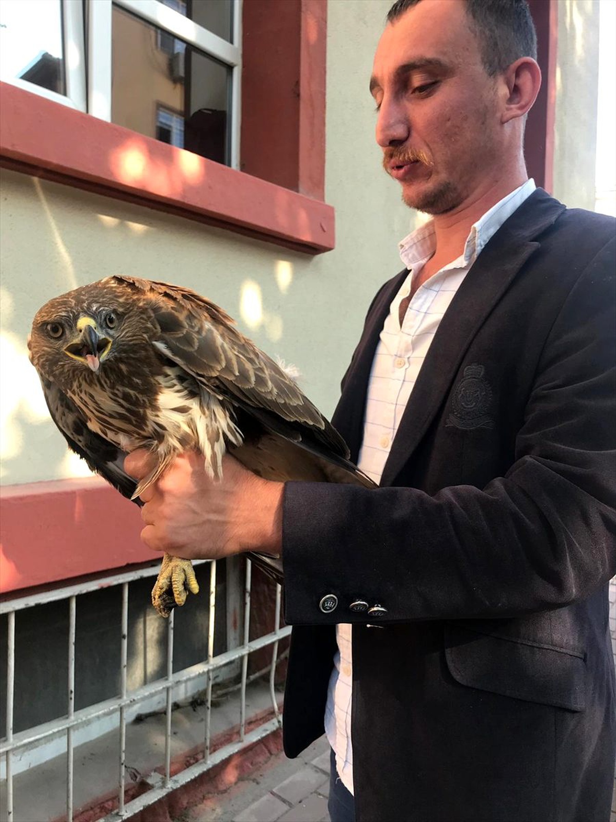 İnegöl\'de bulunan yaralı kızıl şahin tedaviye alındı