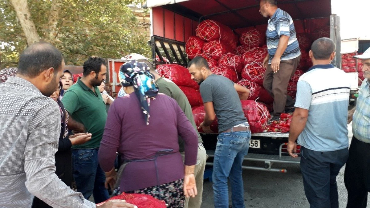 İslahiye\'de salçalık biber tezgahtaki yerini aldı