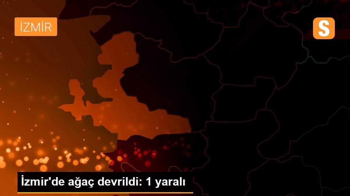 İzmir\'de ağaç devrildi: 1 yaralı