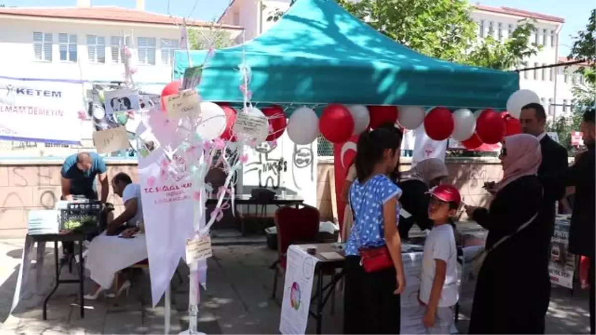 Validen dilek ağacına "kadına yönelik şiddeti kınıyorum" notu