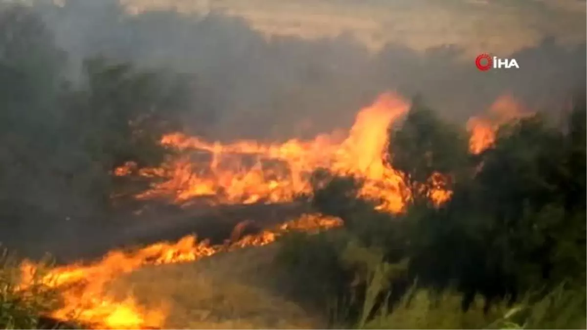 Burhaniye\' de çalılık yangını korkuttu