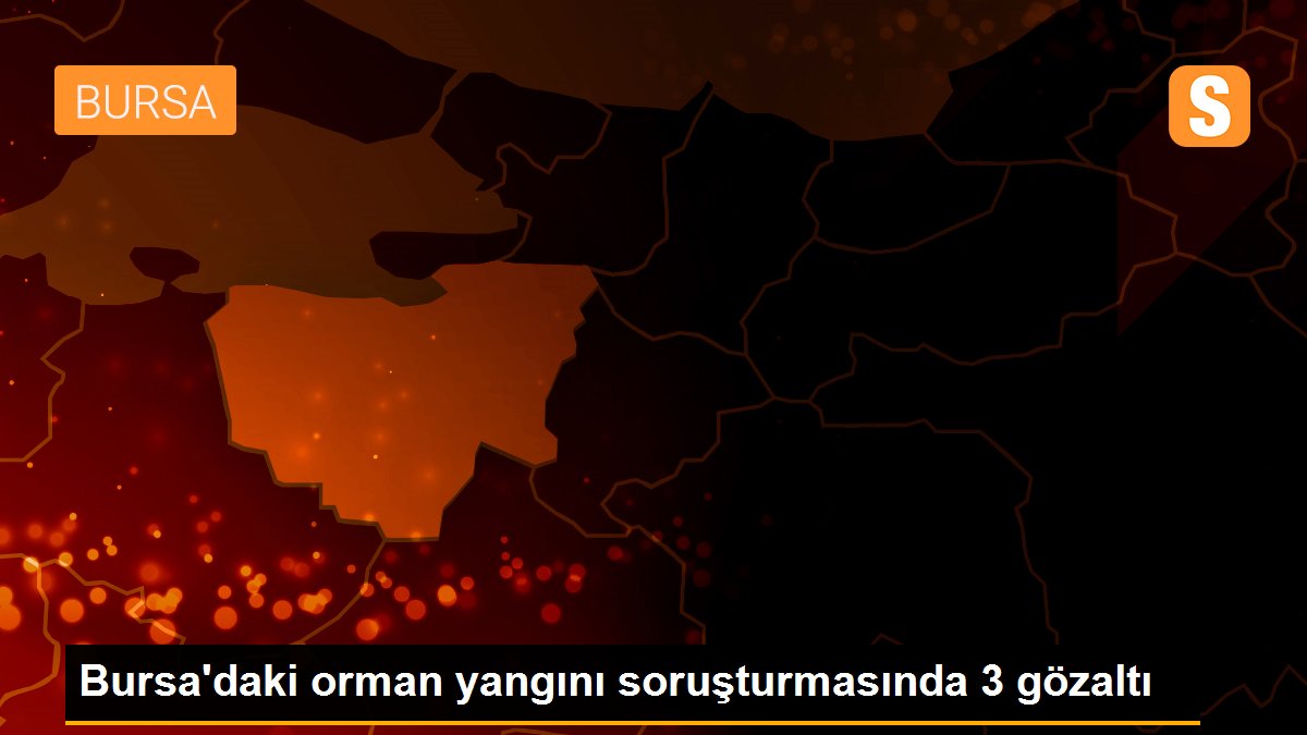 Bursa\'daki orman yangını soruşturmasında 3 gözaltı