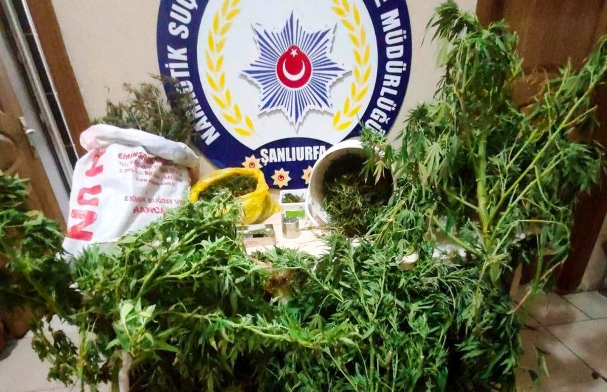 Şanlıurfa\'da uyuşturucu operasyonu