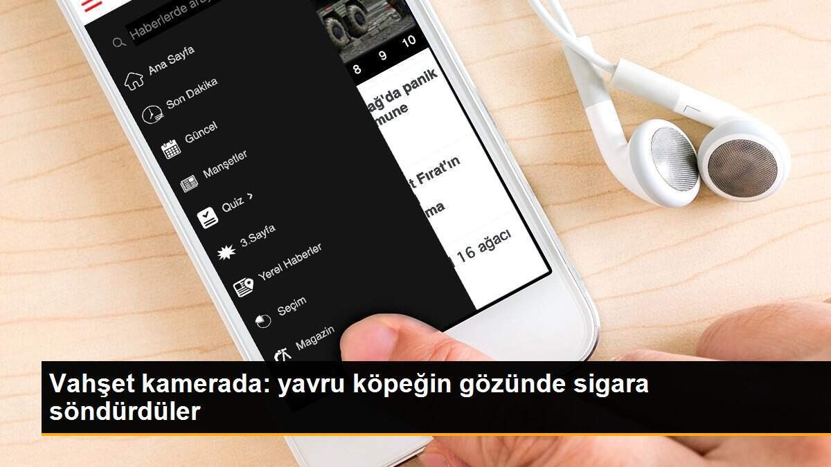 Vahşet kamerada: yavru köpeğin gözünde sigara söndürdüler