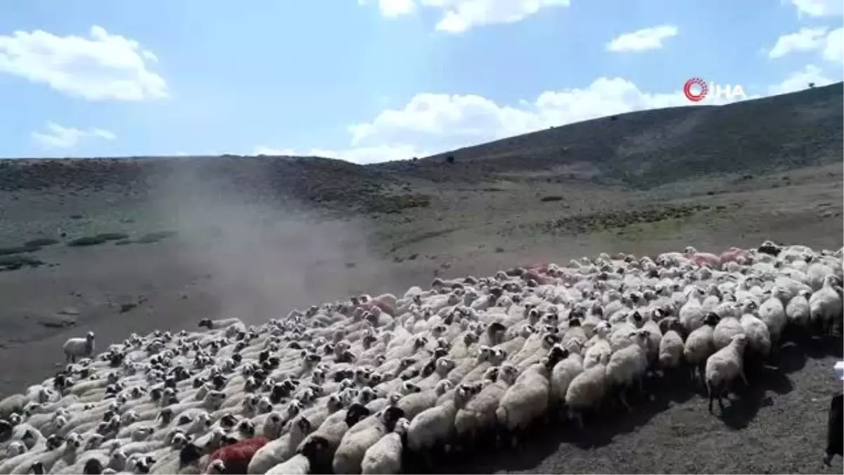 Yaylalarda dönüş hazırlığı başladı