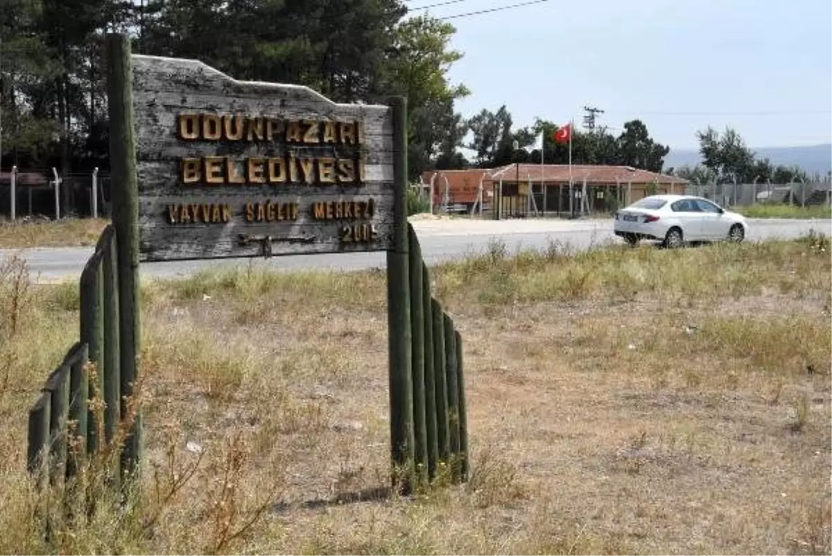 Belediyede başka birime görevlendirme, mahkemeden döndü