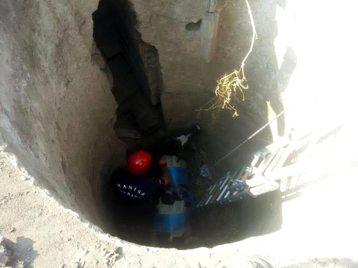 Boş kuyuya düşen danayı itfaiye kurtardı