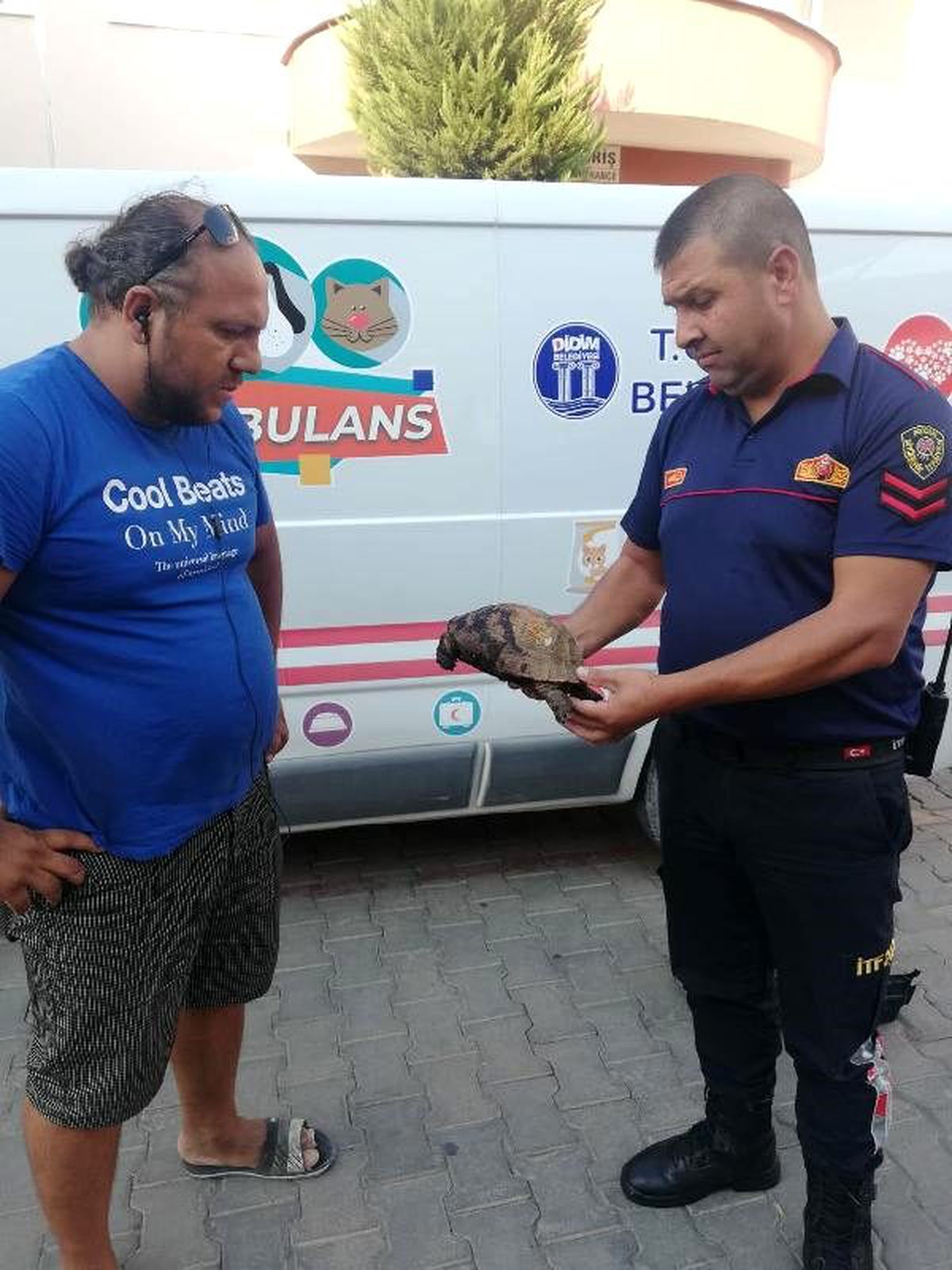 Didim\'de makilik alanda çıkan yangında iki kaplumbağadan biri kurtarıldı