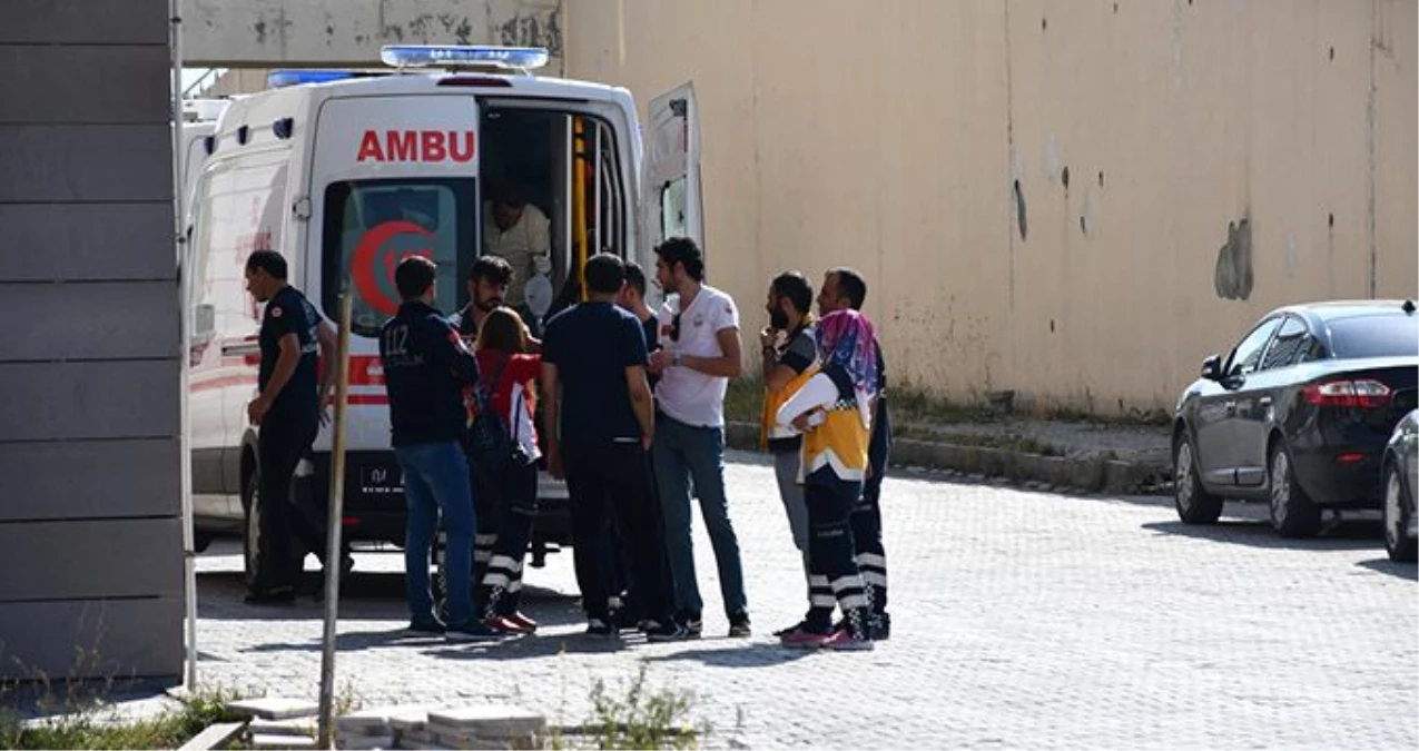 Ağrı\'da düzensiz göçmenleri taşıyan minibüs devrildi: 2 ölü, 30 yaralı