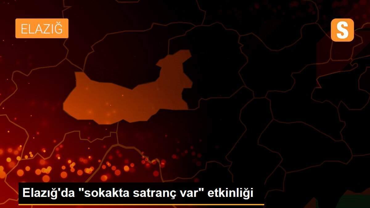 Elazığ\'da "sokakta satranç var" etkinliği