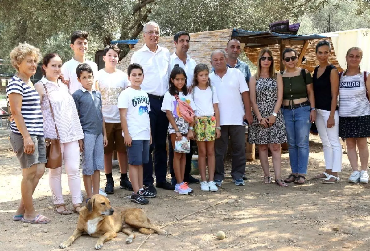 İkinci el kitap satarak, sokak hayvanlarına mama aldılar