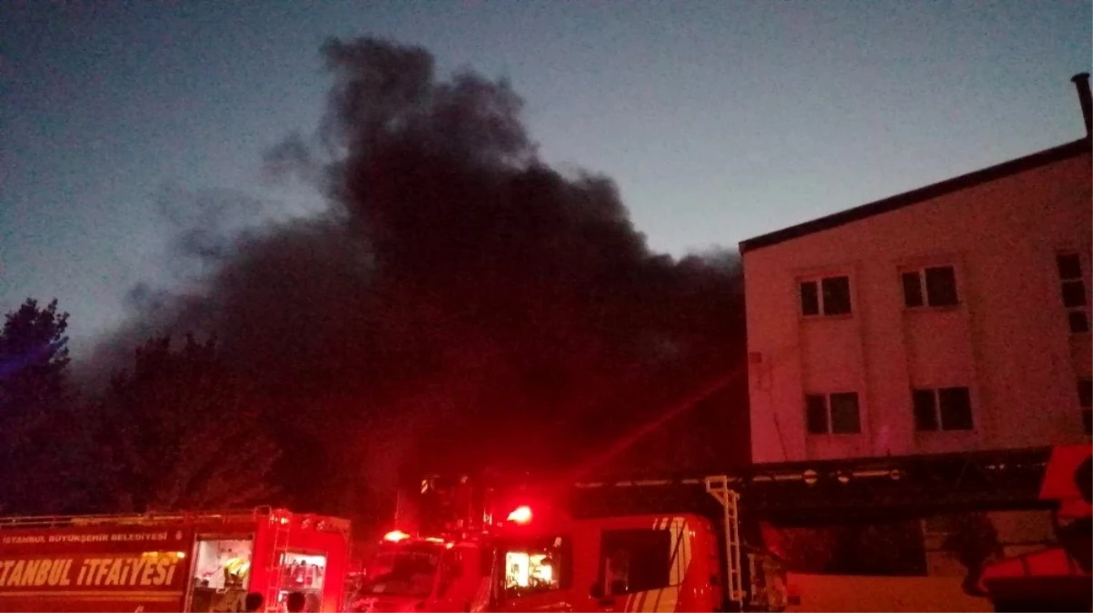 Kurtköy\'de fabrika yangını