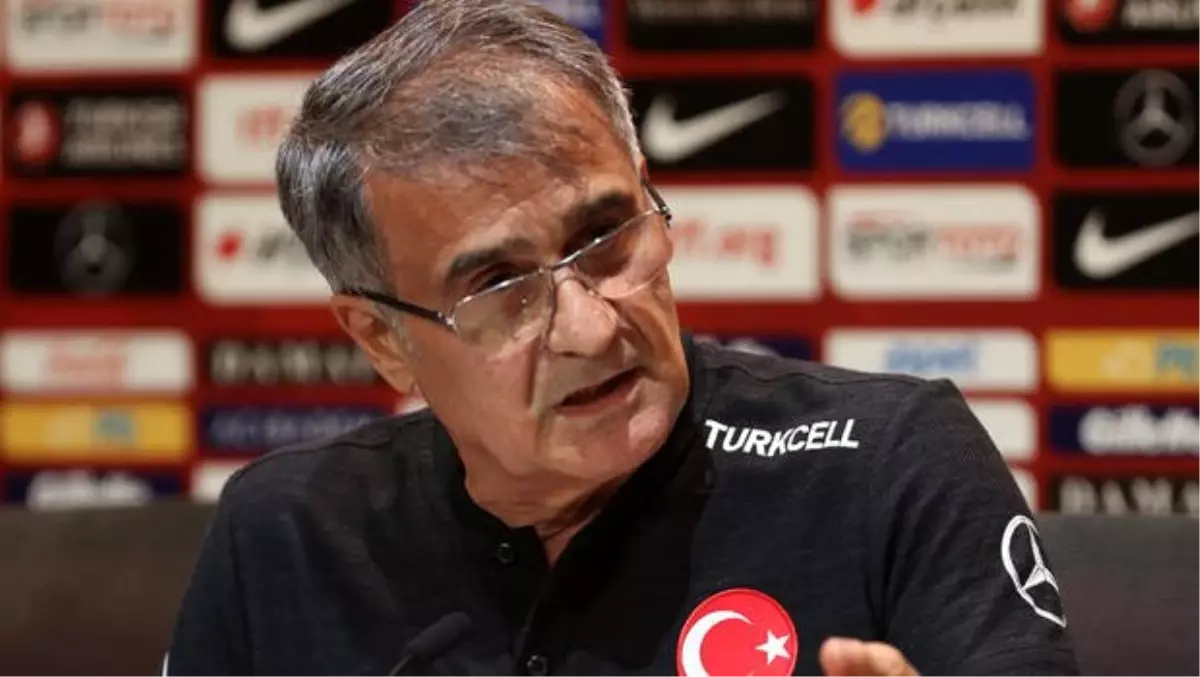 Şenol Güneş: "Fatih Terim ülkenin değeri, ceza almasını istemem"