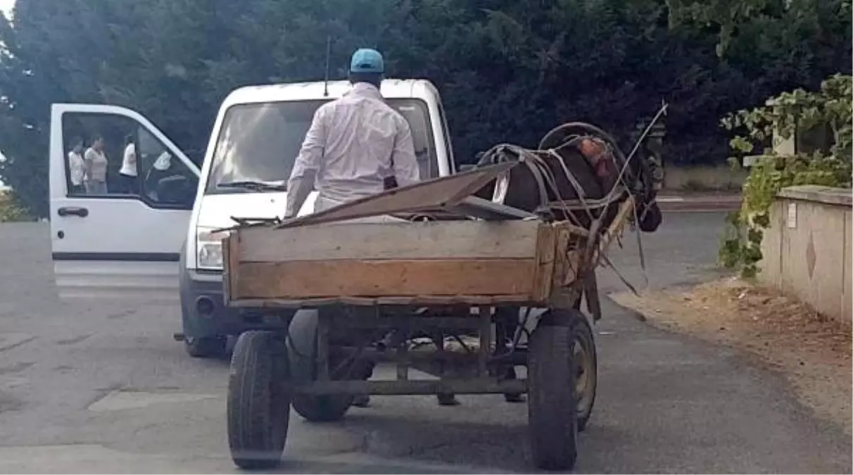 Söktüğü trafik levhalarını at arabasıyla götürürken yakalandı