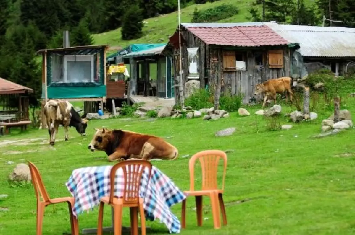 Yaylacılık kültürü, turizmde tesisleşmeye yenik düşüyor