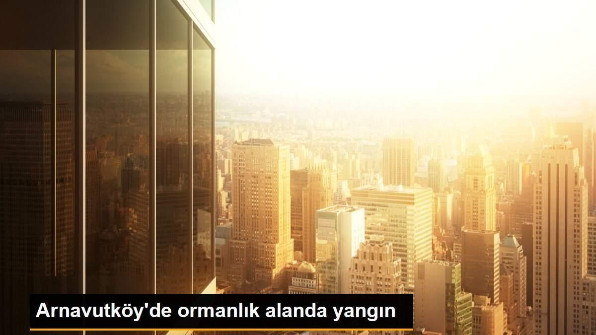 Arnavutköy\'de ormanlık alanda yangın