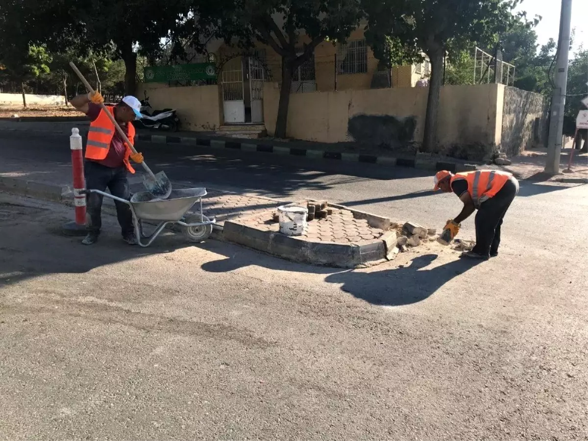 Boş arazilerdeki molozlar temizlendi