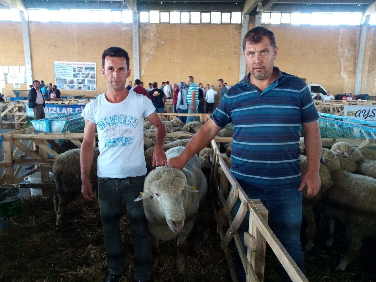 Fuarın yıldızı Karacabey Merinosları oldu
