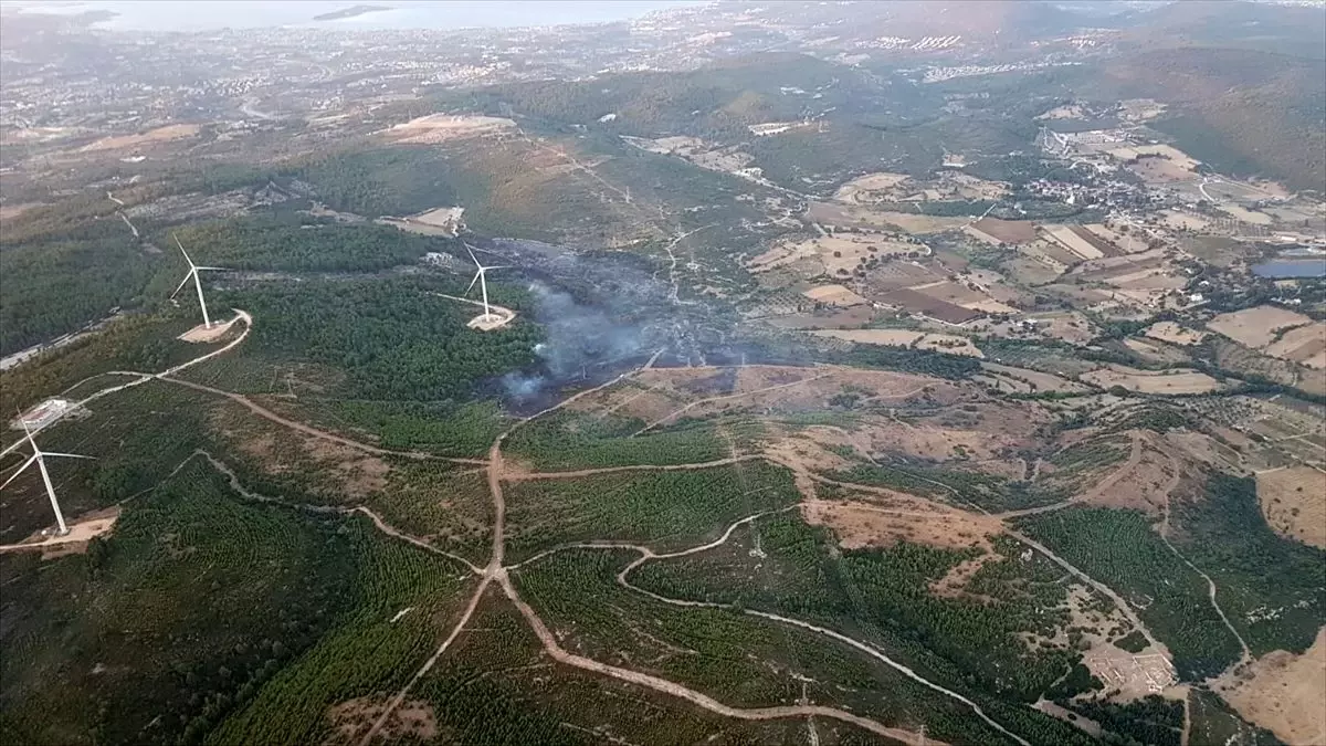 İzmir\'de makilik alanda yangın