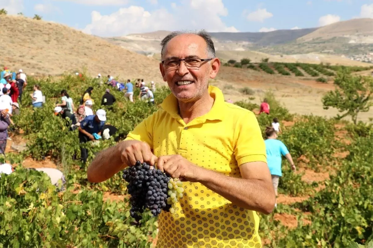 Ürgüp\'te Bağ Bozumu Festivali devam ediyor