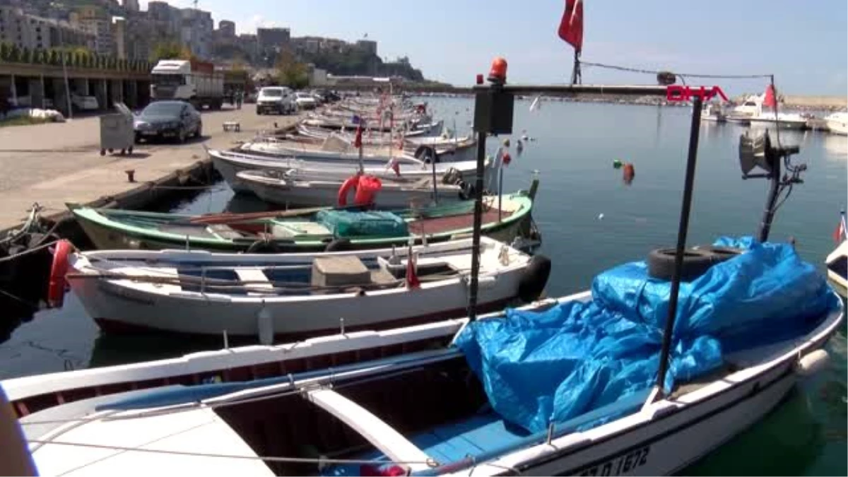Zonguldaklı balıkçılar sezona hayal kırıklığıyla başladı
